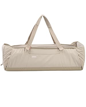 Beige - Seashell Sand Leaf