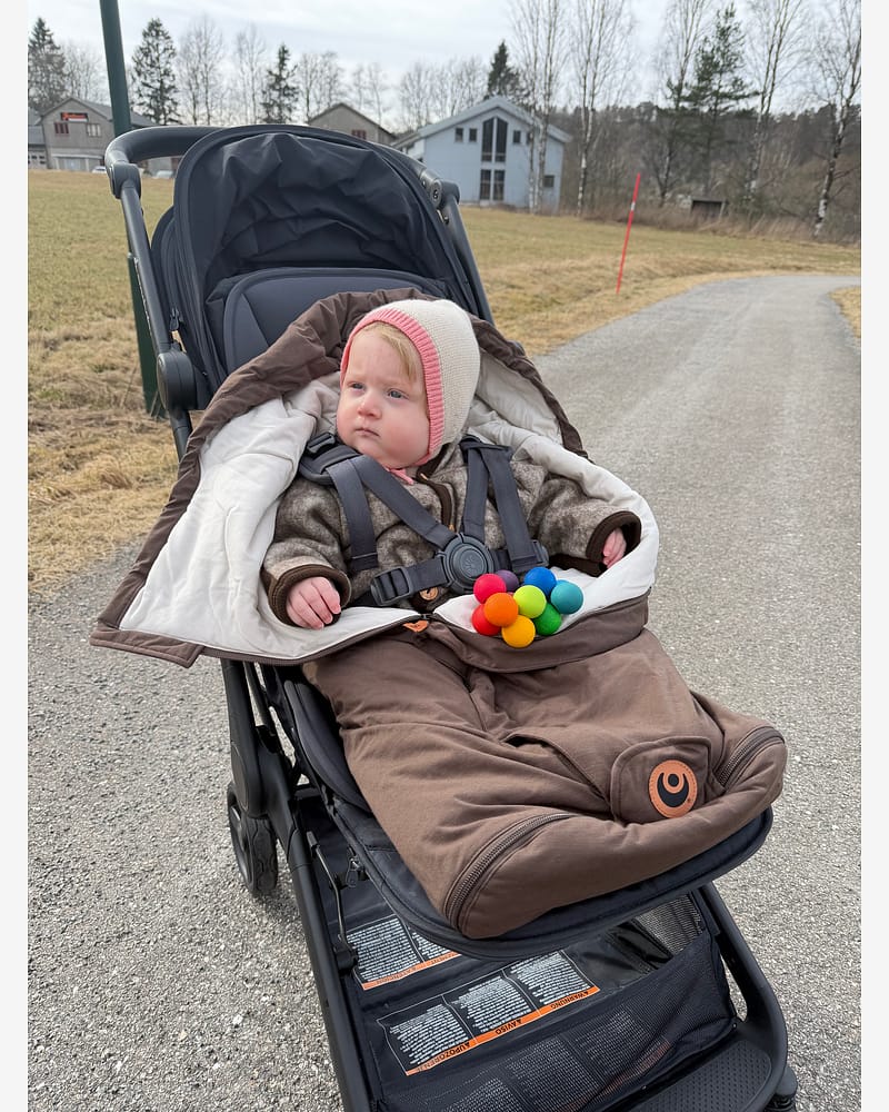 Lyng Vognpose med Forlenger - Vårpose, Nyfødt til ca 4-5år | 2026 Oppdatert Modell