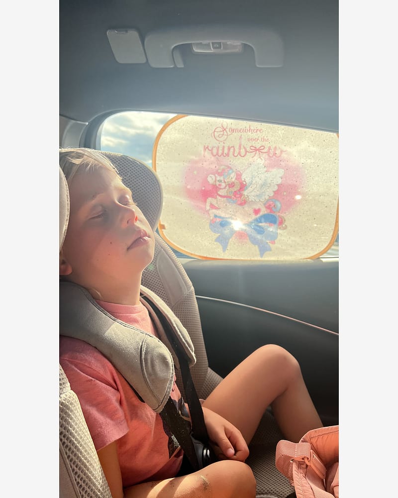 Solskjerm Bil 2pk | Glitter Sunshades