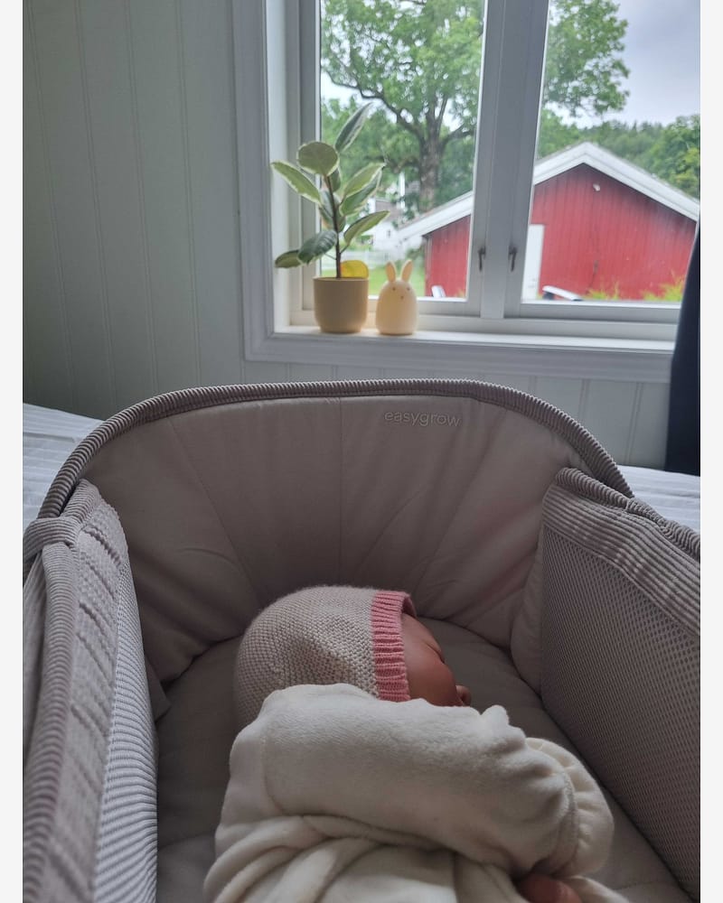 Babynest & Babylift - Multifunksjonelt Babyrede | Favn II Carrynest
