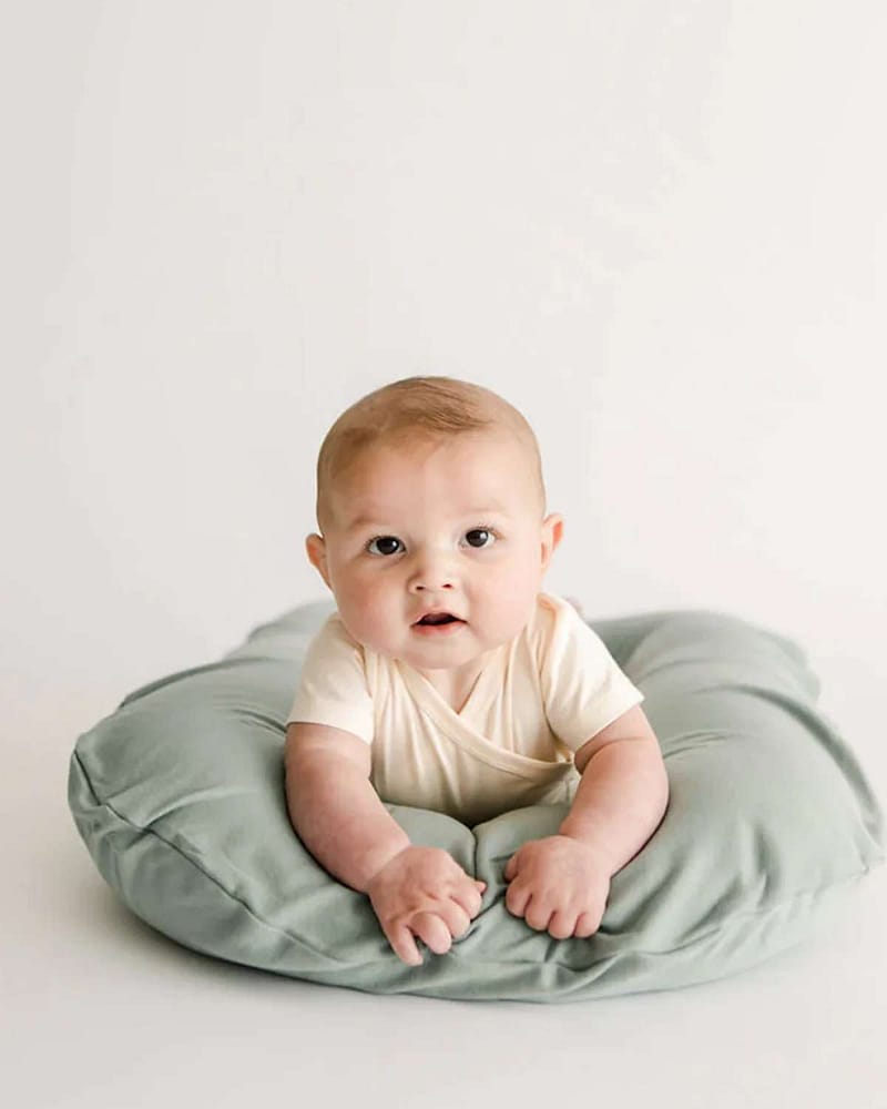Trekk til Snuggle Me Organic Babynest - 100% Øko Bomull