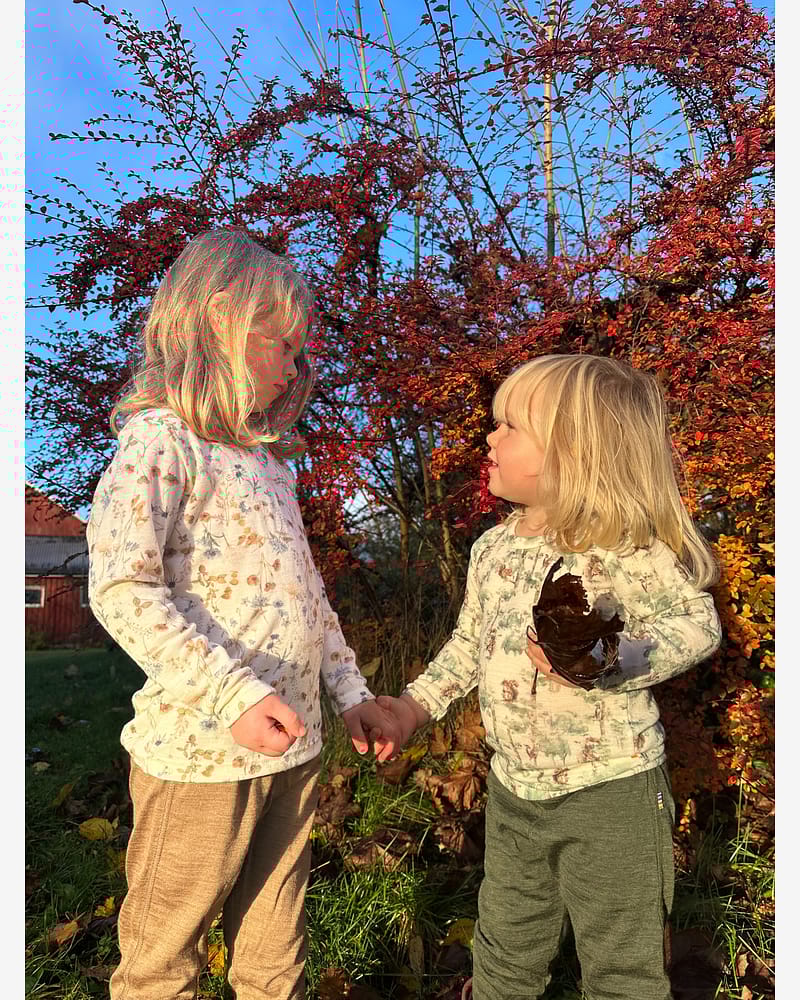 Ulltrøye Langermet - 100% Merino