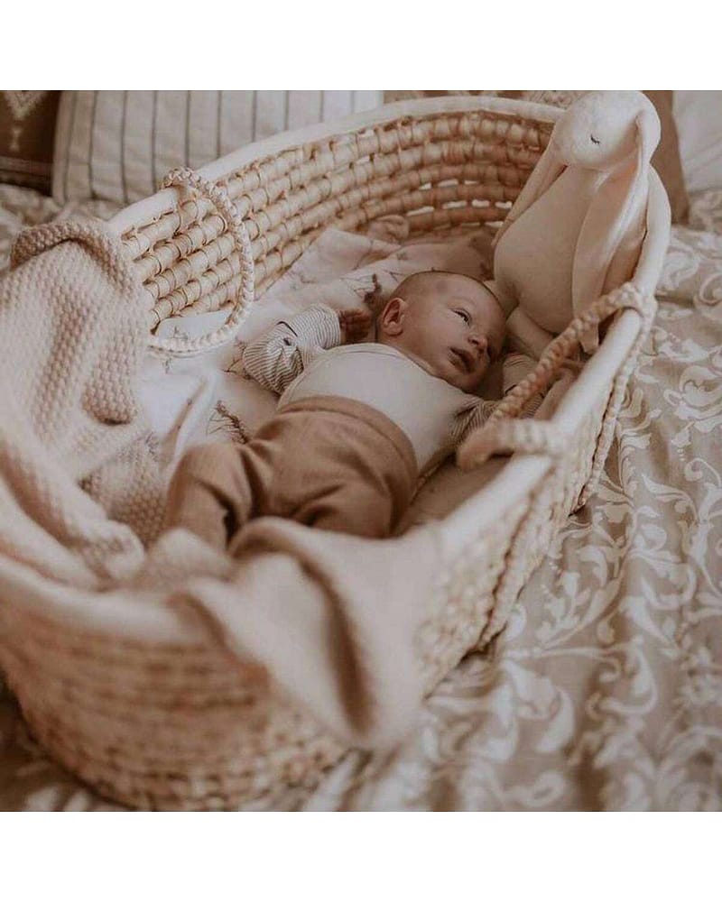 Gyngestativ til Moseskurv