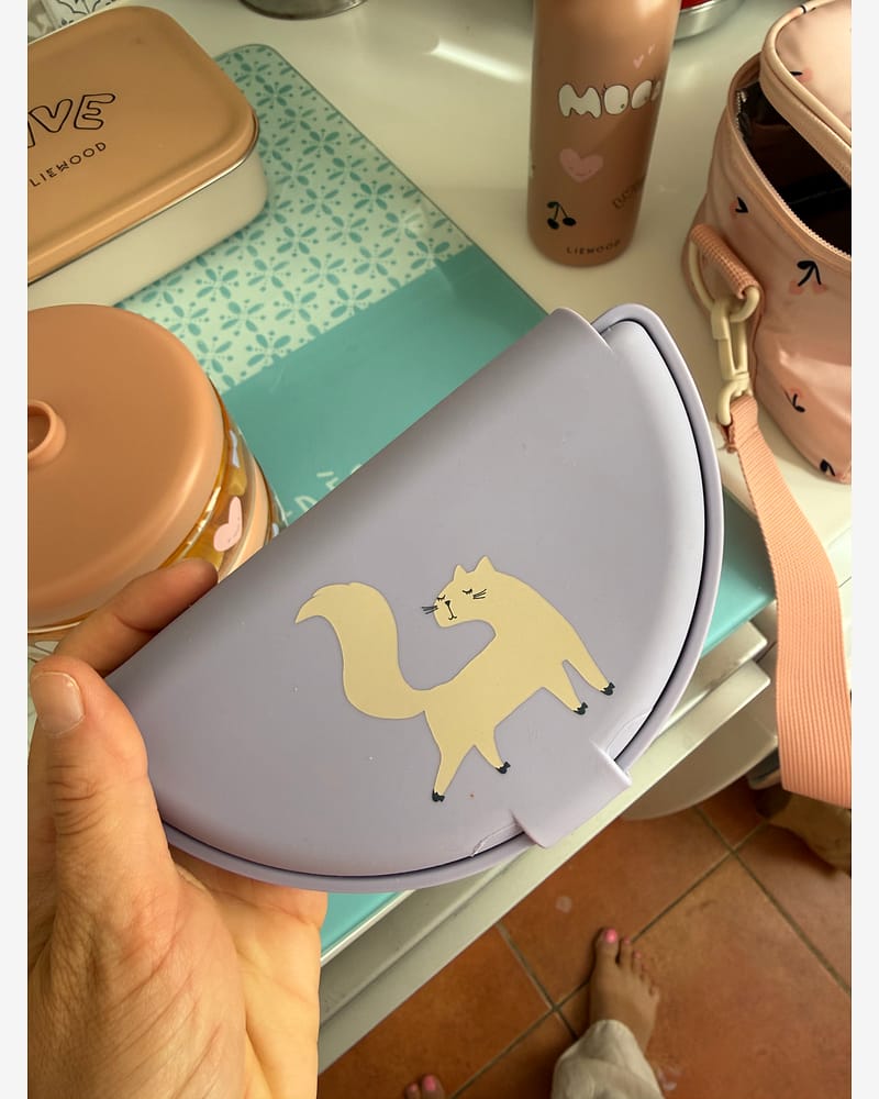 Snackboks - Silikon matboks 500 ml | Eugene Foldable Snack Box