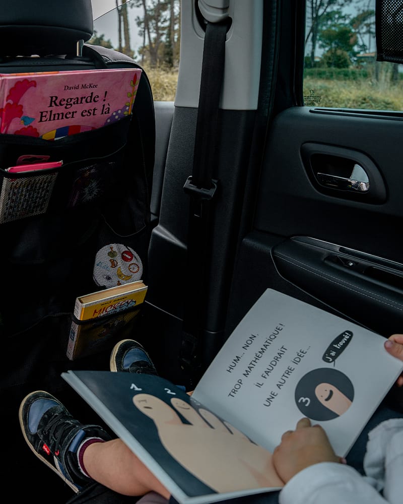 Ezimoov Oppbevaringslomme til Bil - 56 x 38,5 cm | Travel Organizer Plus