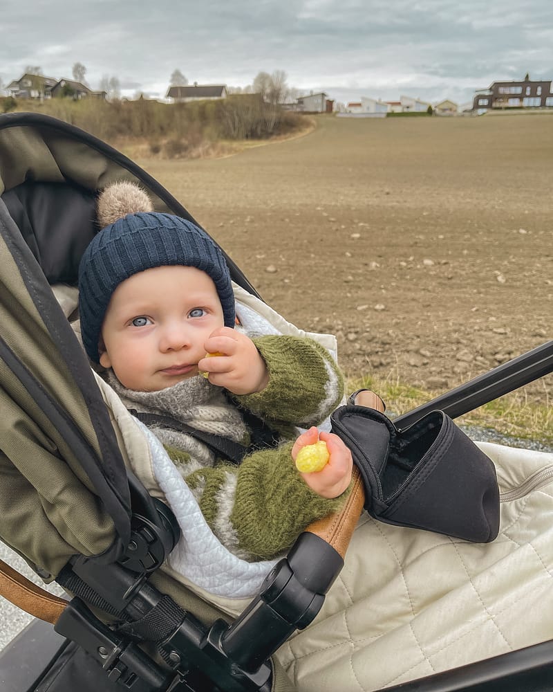 Spire Vognpose med Forlenger - Lett Vårpose