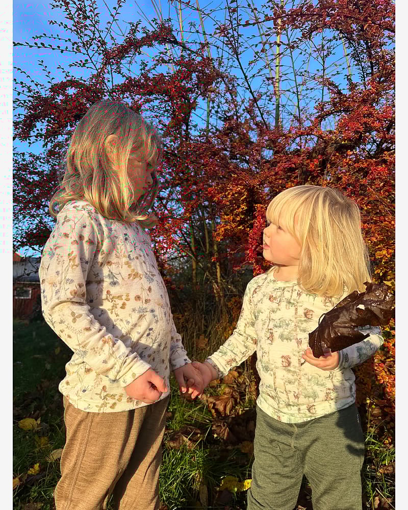 Ulltrøye Langermet - 100% Merino | Basic