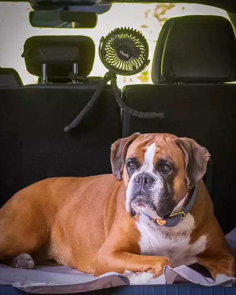 Vifte til barnevogn - Oppladbar