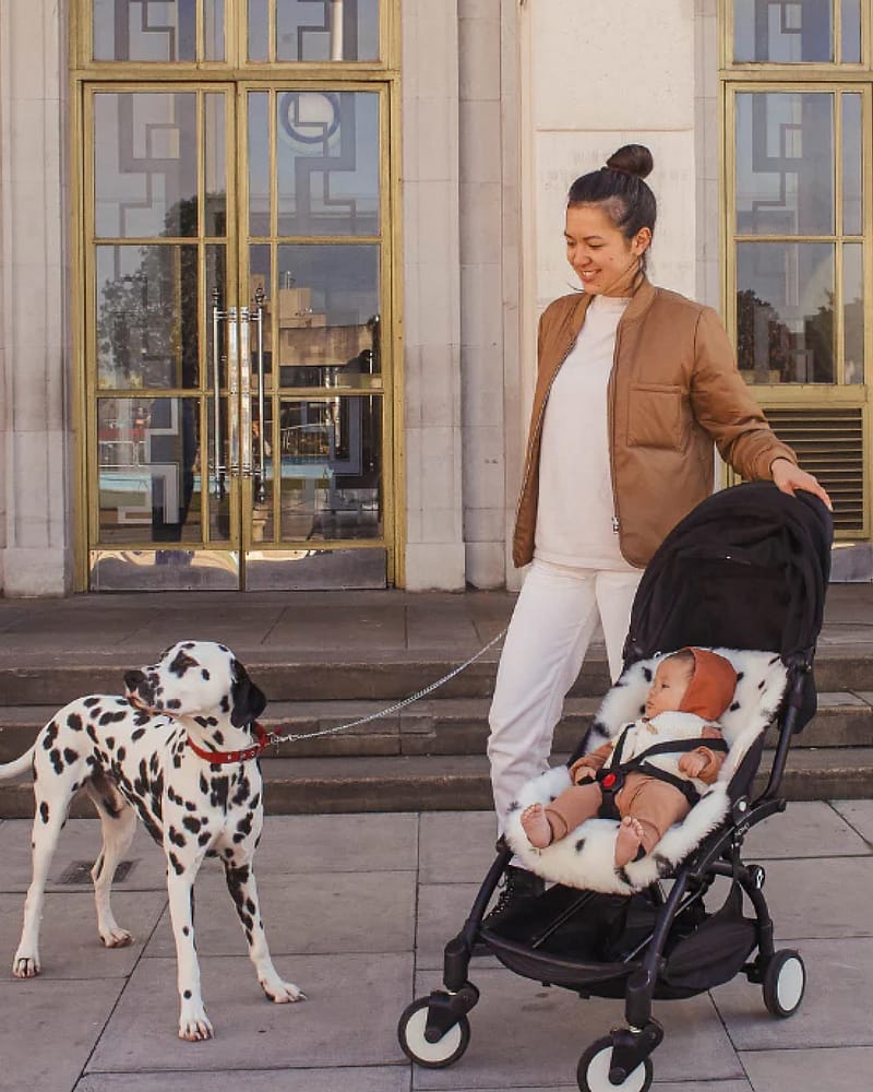 Lammeskinn til Vogn, Vippestol og Moseskurv - Universal Fit - 100% Merino | Snuggler Fixed