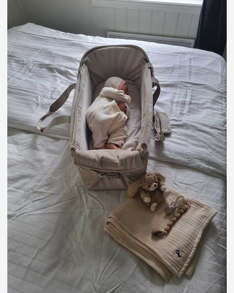 Babynest & Babylift - Multifunksjonelt Babyrede | Favn II Carrynest