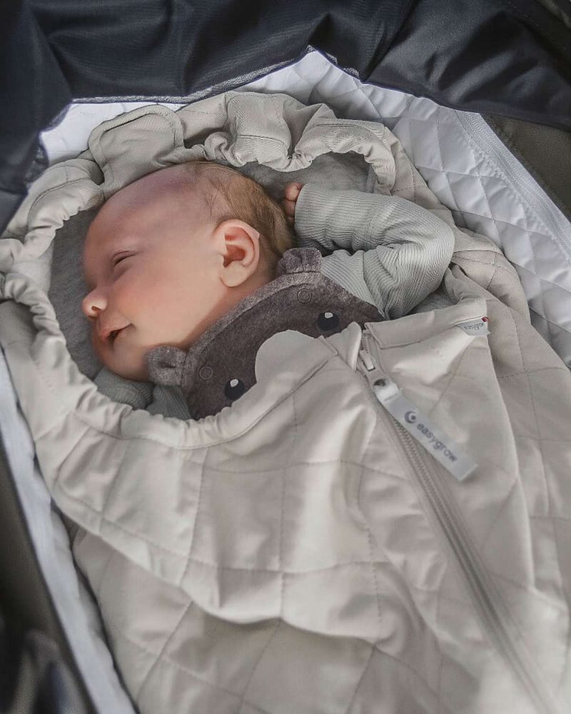 Spire Vognpose med Forlenger - Lett Vårpose