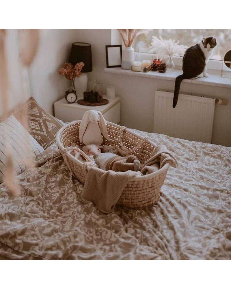 Moseskurv med Madrass