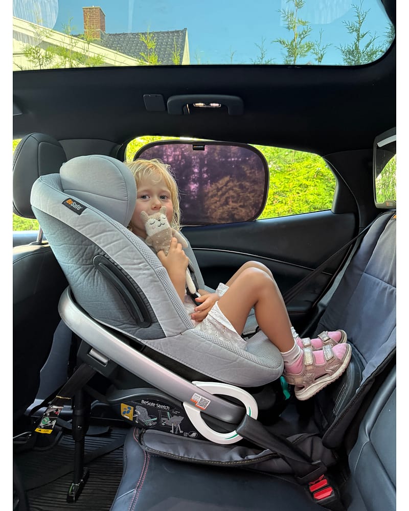 Solskjerm Bil 2pk | Sunshades