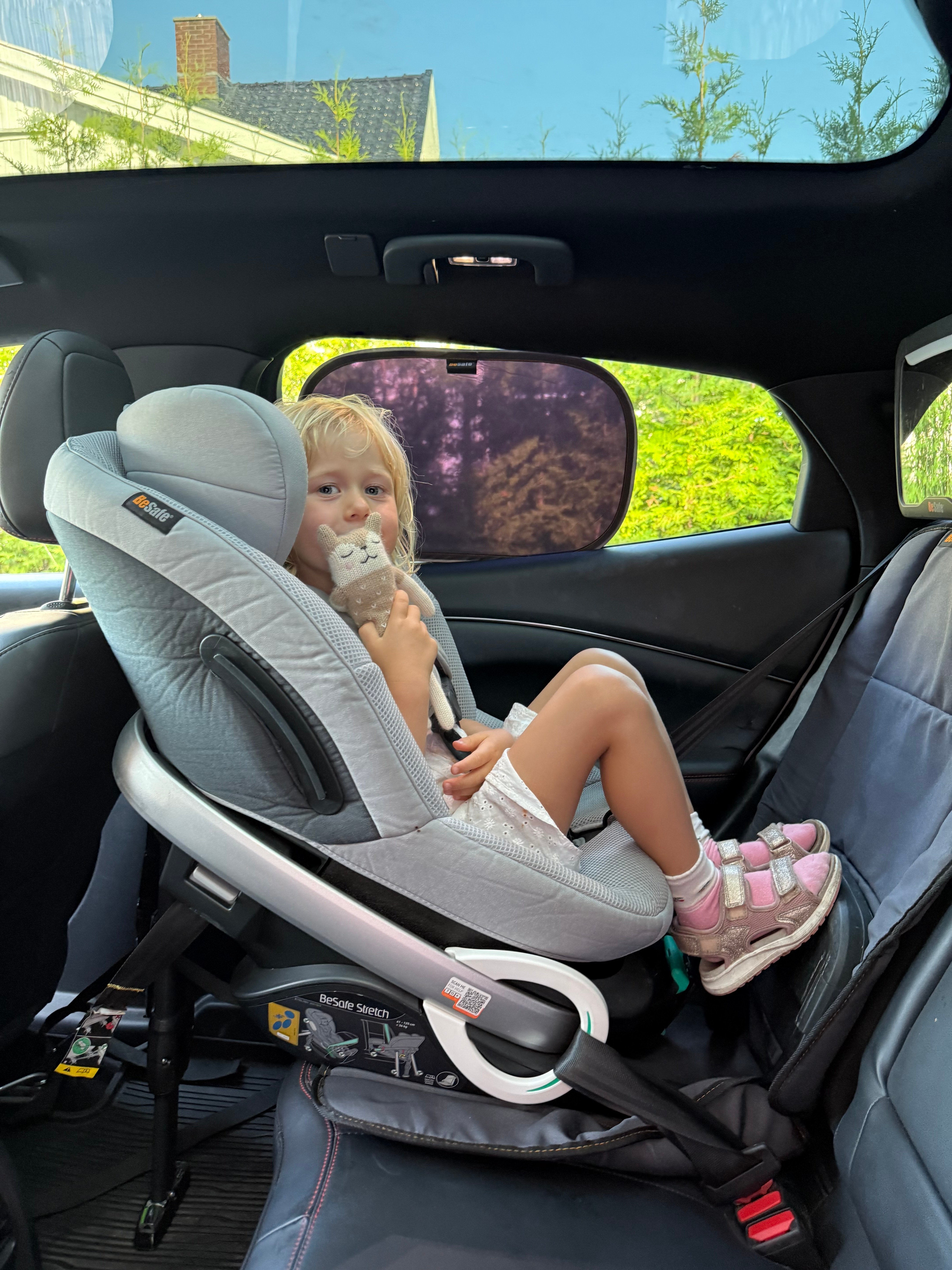 solskjerm bil 2pk | sunshades
