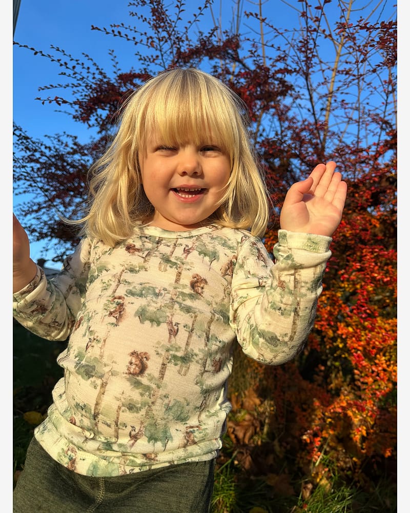 Ulltrøye Langermet - 100% Merino | Basic