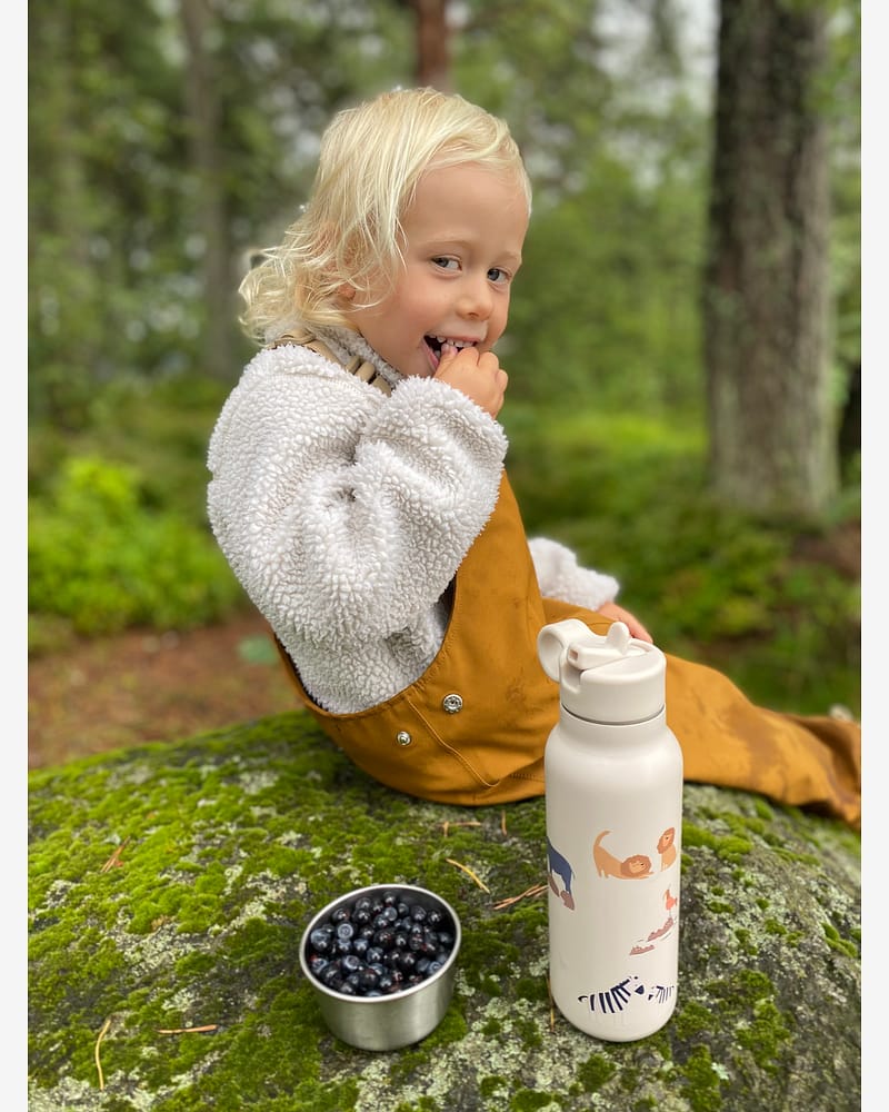 Termoflaske Barn - 350ml | Falk Drikkeflaske Medium