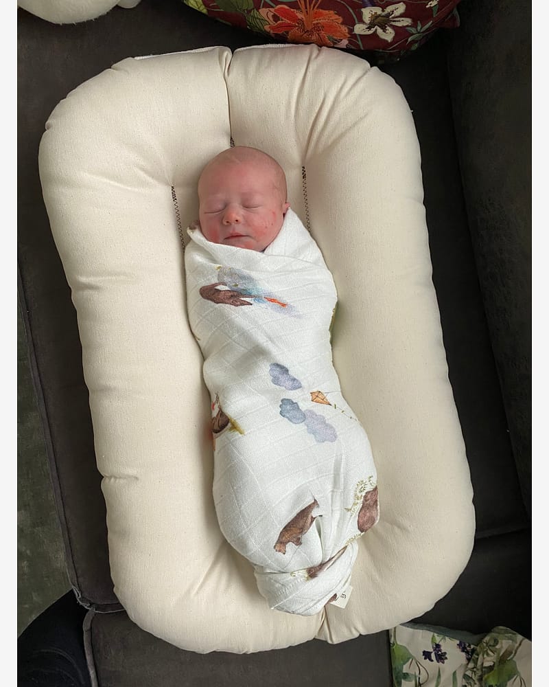 Babynest Snuggle Me Organic | Infant Lounger