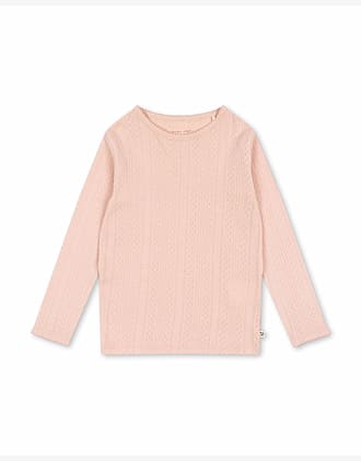Rosa - Cameo Rose